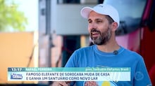 Filhote de elefante se reencontra com a mãe após ser salvo por pescadores em rio; veja vídeo