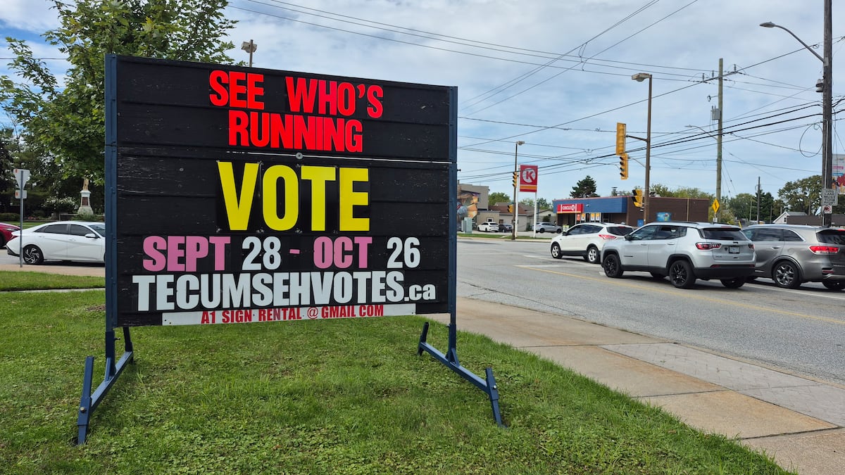 ‘It’s a lot more work’: Why so many voters sit out of municipal elections