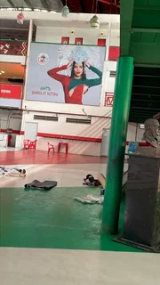 Grande Rio coloca foto de Anitta em quadra