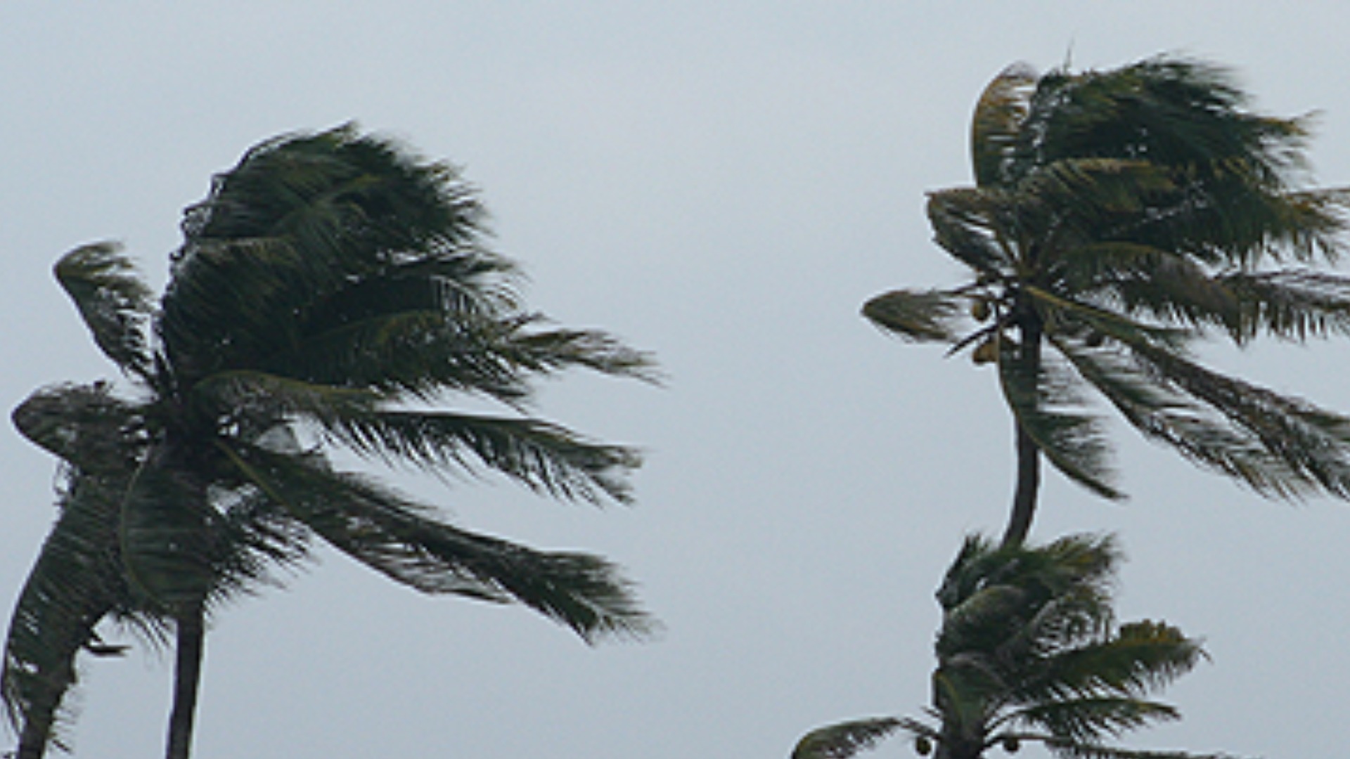 Strong Wind Warning remains in force for parts of Fiji