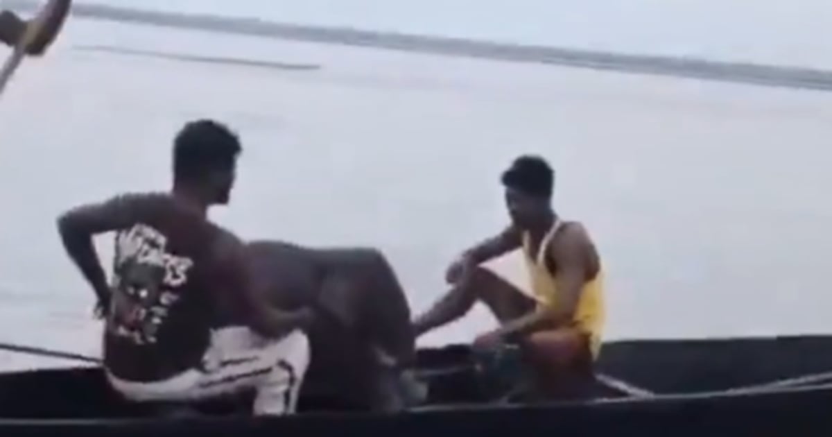 Filhote de elefante se reencontra com a mãe após ser salvo por pescadores em rio; veja vídeo