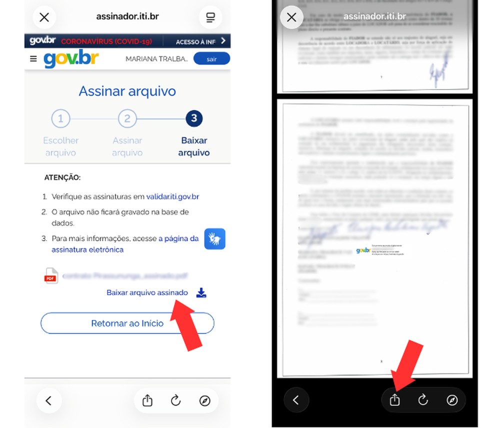 É possível fazer o download do arquivo assinado e enviá-lo a diferentes pessoas e instituições — Foto: Reprodução/Mariana Tralback
