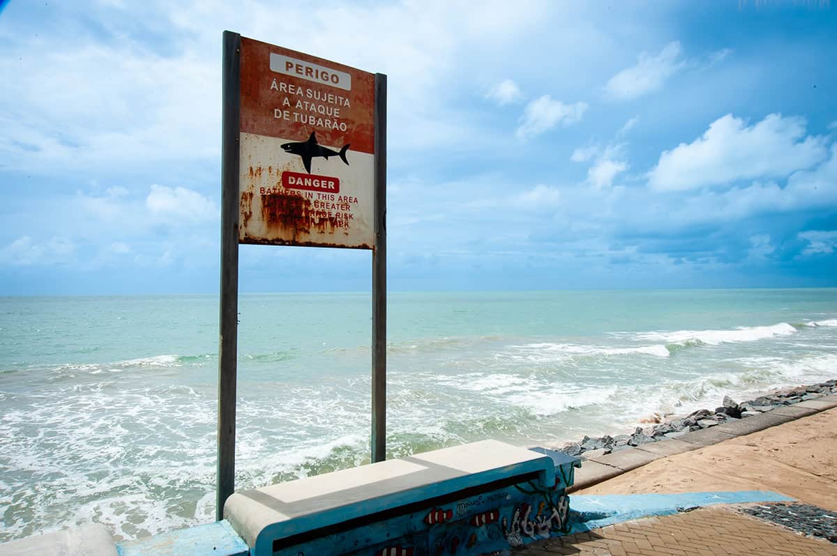 Placa alerta que área é sujeita a ataques de tubarão.