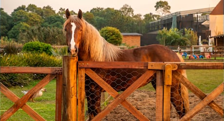 Experiente no assunto! Carol Lekker elege sua treta favorita de A Fazenda: ‘Fui longe’