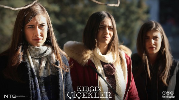 10 séries turcas tipo Para Sempre no Meu Coração, mas ainda mais emocionantes