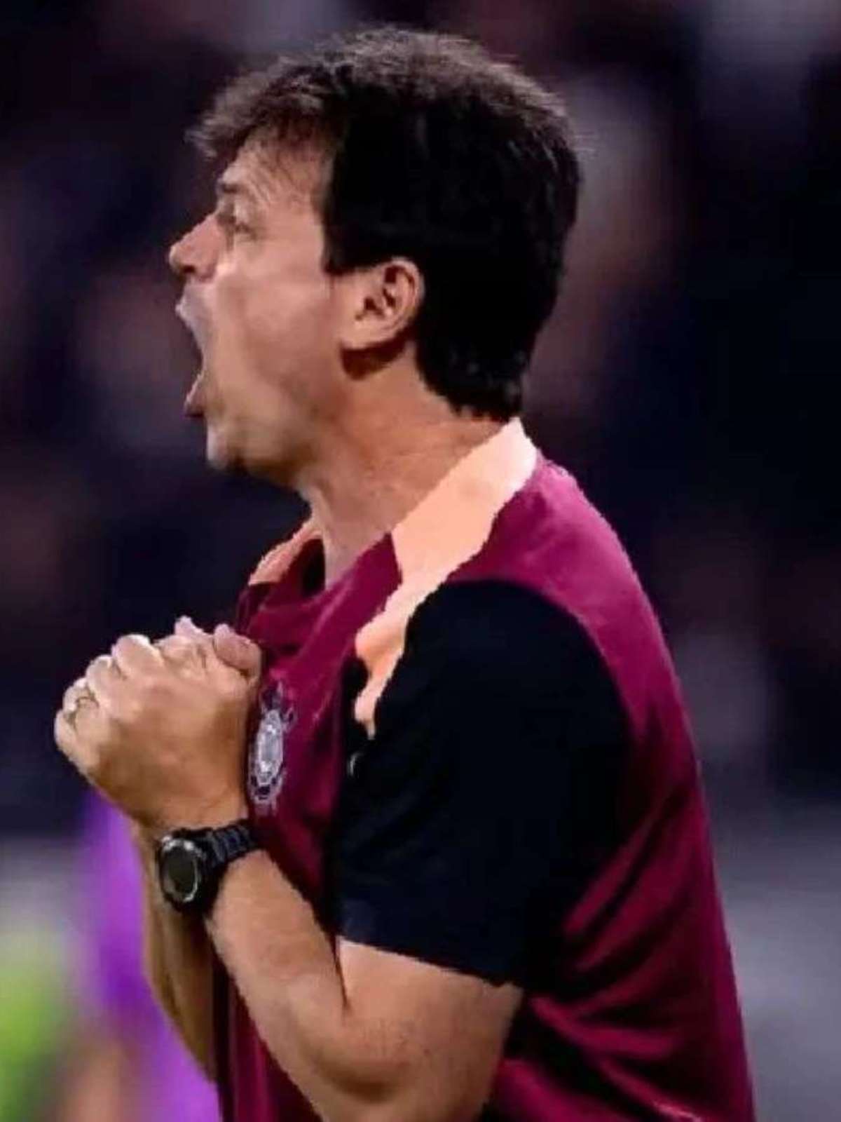 Fernando Diniz faz alerta ao Corinthians antes da volta com Estudiantes; veja