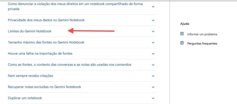 É importante que o usuário fique sempre atento às mudanças na documentação do Gemini Notebook (antigo NotebookLM) — Foto: Diedrich Bader/TechTudo